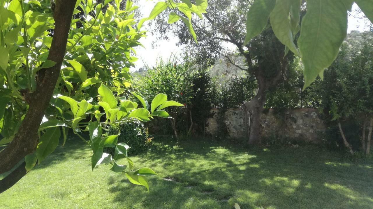 מלון Castellaccia Casa Eraldo מראה חיצוני תמונה